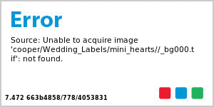 Mini Hearts CD/DVD Wedding Labels