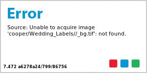 Portrait Big Oval Wedding Labels