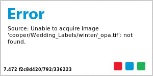 Winter Wonderland Text Rectangle Wedding Label