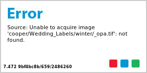 Winter Wonderland Square Wedding Label