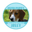 Hush Puppy Big Circle Food & Craft Label