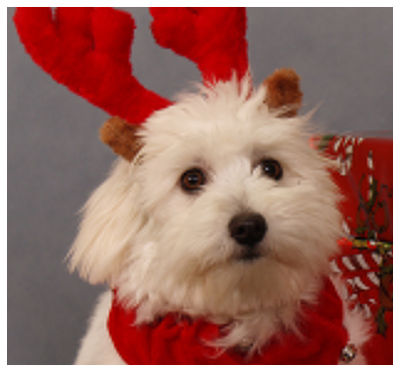 Christmas Photo Labels