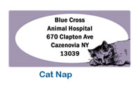 cat address labels wedding custom personalized 