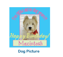 personalized animal birthday stickers