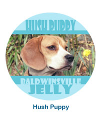 Personalized Hush Puppy Coaster