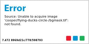 Custom Flying Ducks Circle Canning Label