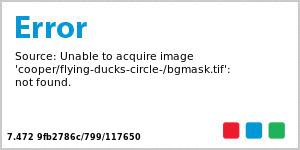 Custom Flying Ducks Big Circle Canning Label