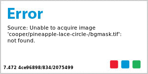 Pineapple Lace Big Circle Food & Craft Hang Tag