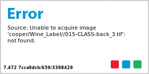 Class Rectangle Wine Label 3.25x4