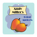 Your Brand Apricot Large Square Food & Craft Hang Tag