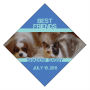 Diamond Pets Friend Labels 2x2