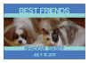 Horizontal Rectangle Pets Friend Labels 2.75x1.875