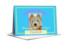 Dog Birthday Note Card