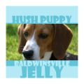 Hush Puppy Large Square Food & Craft Label