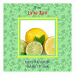 Lime Big Square Canning Labels 2.5x2.5