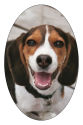Vertical Oval Pets Photo Labels 2.25x3.5