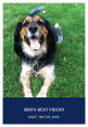 Rectangle Pets Photo with Text Favor Tag 1.875x2.75