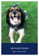 Rectangle Pets Photo with Text Labels