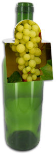 Photo Square Wine Bottle Tags