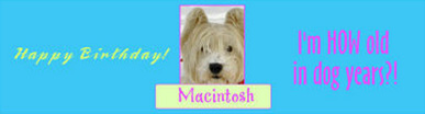 Water Dog Birthday Labels