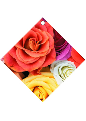 Just Photo Valentine Hang Tags