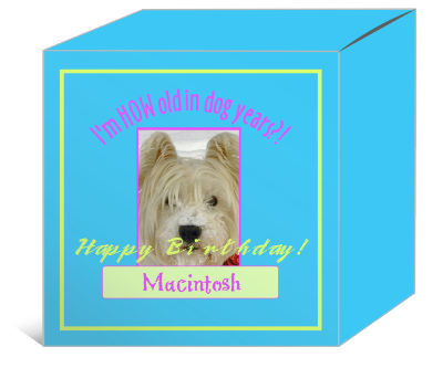 Dog Birthday Boxes