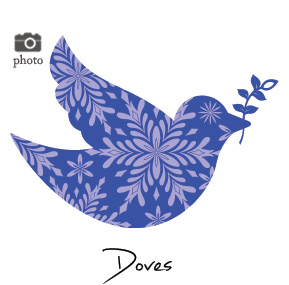 Christmas Dove Family Cards