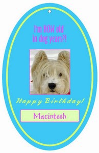 Dog Birthday Hang Tags