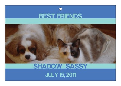 Friend Pets Favor Tag