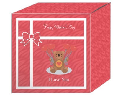 Present Valentine Boxes