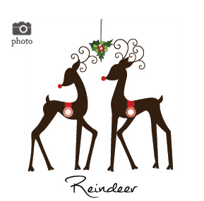 Christmas Reindeer and Rudolph Family Cards