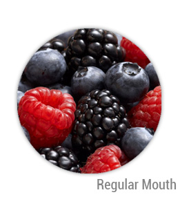 Mixed Berry Jelly Regular Mouth Ball Jar Topper Insert